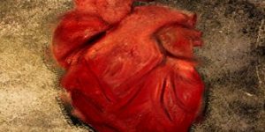 BOOK REVIEW: Hardened Hearts